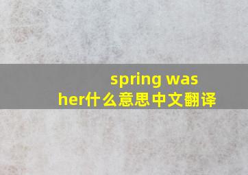 spring washer什么意思中文翻译